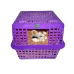 Finches nest box - Image 4