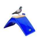 pigeon Perch stand