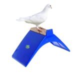 pigeon Perch stand - Image 2