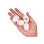 pigeon fake egg - Image 2