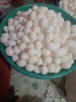 pigeon fake egg - Image 4