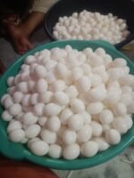 pigeon fake egg - Image 3