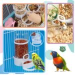 birds automatic feeder (imported) - Image 4
