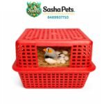 Finches nest box - Image 4