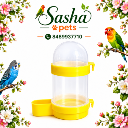 birds automatic water feeder (200ml)