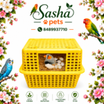 Finches nest box