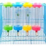 Rabbit Drinker (500ml) - Image 3