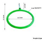 Birds swing ovel - Image 2