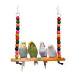Birds swing (Hanging model )