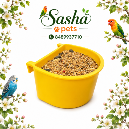 D shape birds feeding cup (125ml)