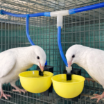 8mm Hose roll (30 meter ) - Image 2