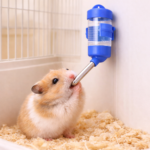 Rabbit and hamster drinker 80ml - Image 3