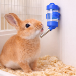Rabbit and hamster drinker 80ml - Image 4