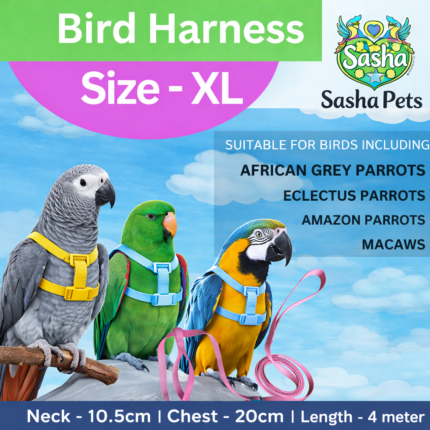 Birds harness