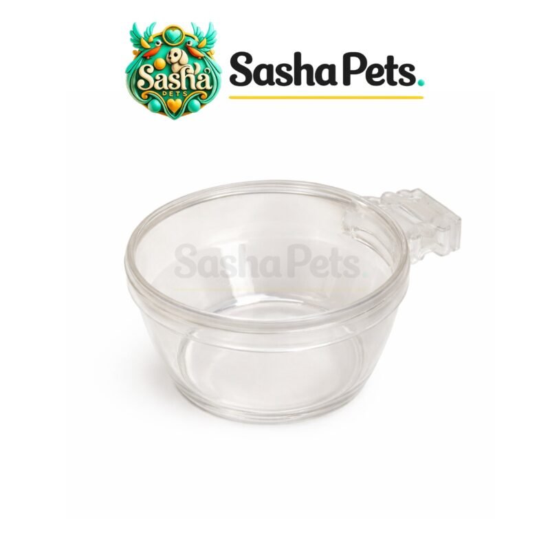 Glass egg food bowl for finches and budgies compact bird feeding cup