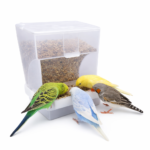 Smart 500g Automatic Bird Feeder – No Waste Seed Feeder with Bottom Tray - Image 3
