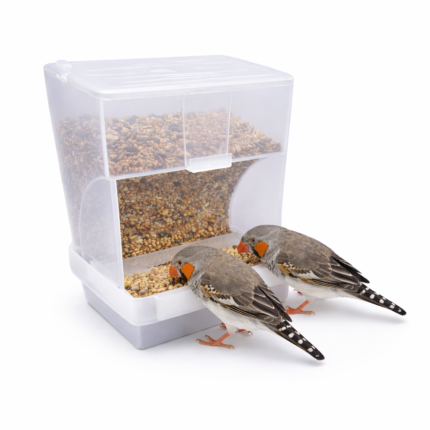 Automatic bird feeder 500g no waste seed feeder with bottom tray for cage birds