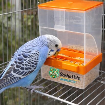 300g automatic bird feeder for finches and lovebirds with no waste bottom tray