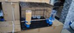 Birds automatic feeder with 750ml bottle - Image 2