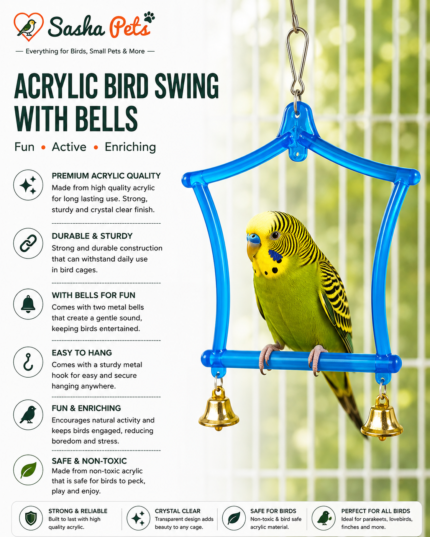 Birds swing house type glass