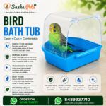 Birds bath tub indian made - Image 2