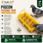 Pigeon feeding tray attachable model 20cm
