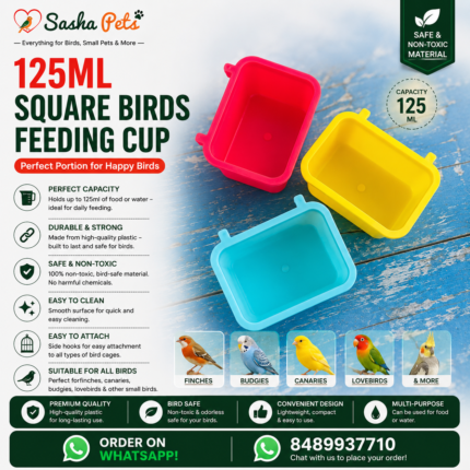 125ml birds feeding cup square