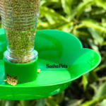Birds automatic food feeder with bottle - Image 3