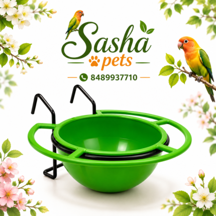 Birds feeder with hanging rod