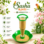 Birds automatic food feeder with bottle