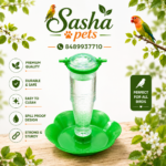 Birds automatic water feeder with bottle