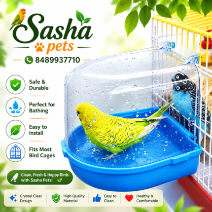 Birds bath tub indian made