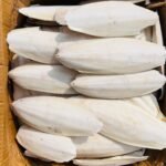 cuttlefishbone birds calcium food - Image 2