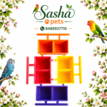 Two partition cup feeder  for birds