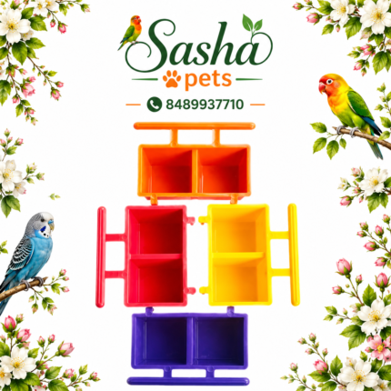 Two partition cup feeder  for birds